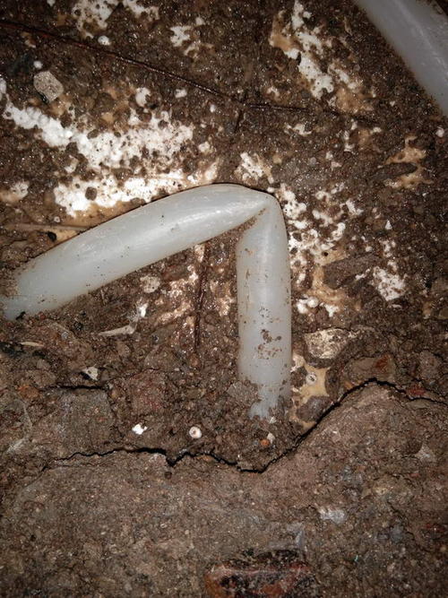 安达堵点精准查找